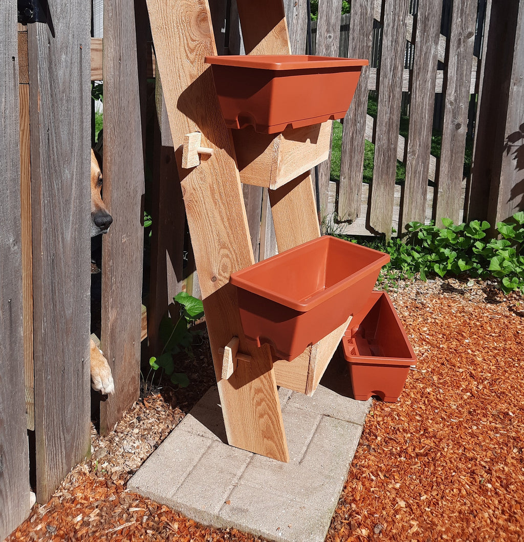 Two-tier cedar planter box with orange plastic inserts in both trays