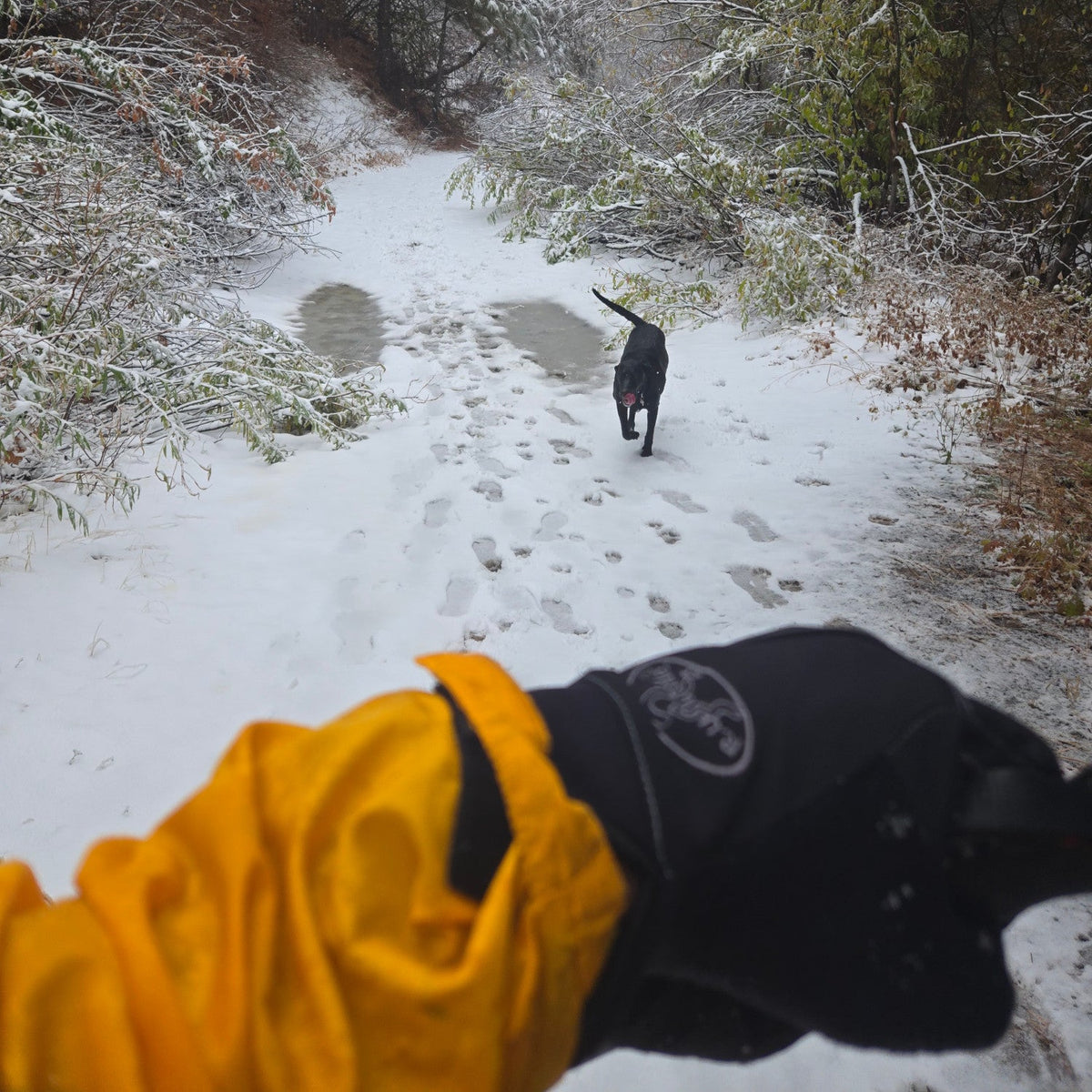 Black outdoor gloves reaching forward, R.U.Outside logo on wrist