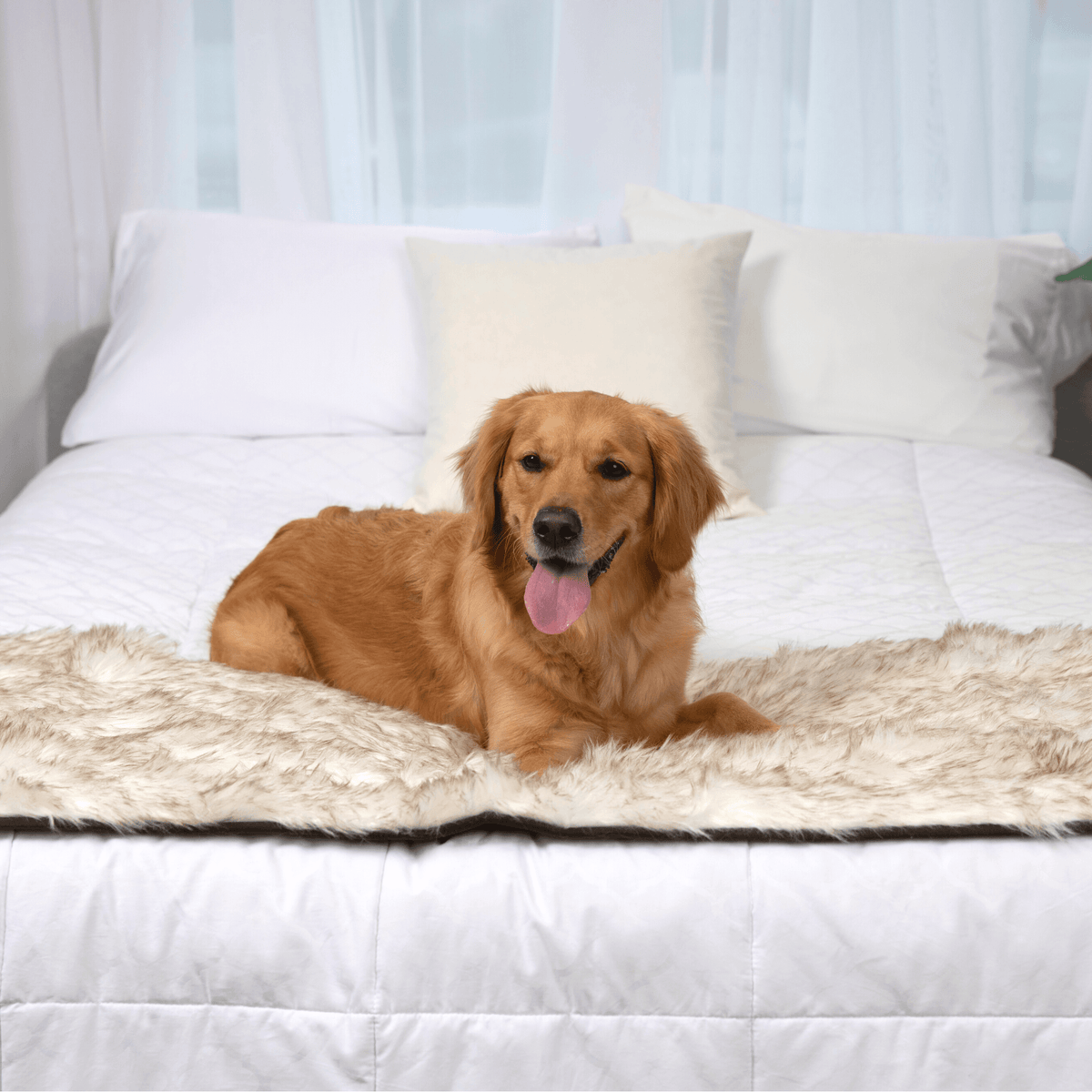 White bed runner with brown accents, plush top used as dog sleeping mat