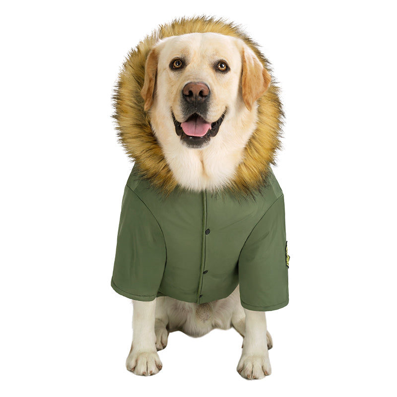 Green hooded dog parka with faux fur trim and button front