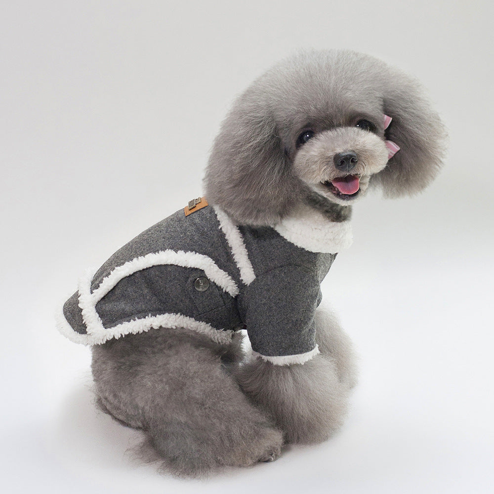 Small dog wearing a dark grey winter fleece jacket with white trim and plush collar