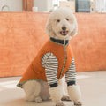 Orange thermal pet jacket with puffer vest, striped sleeves, and zip-up front