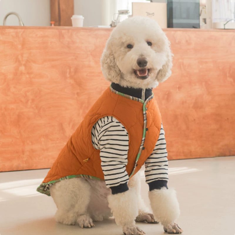 Orange thermal pet jacket with puffer vest, striped sleeves, and zip-up front