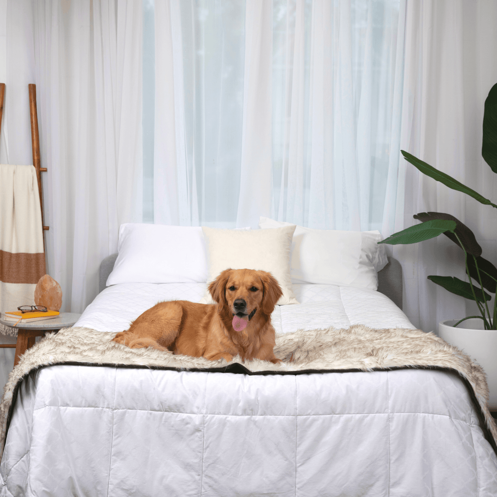 White bed runner with brown-trimmed shaggy top, laid across a dog bed