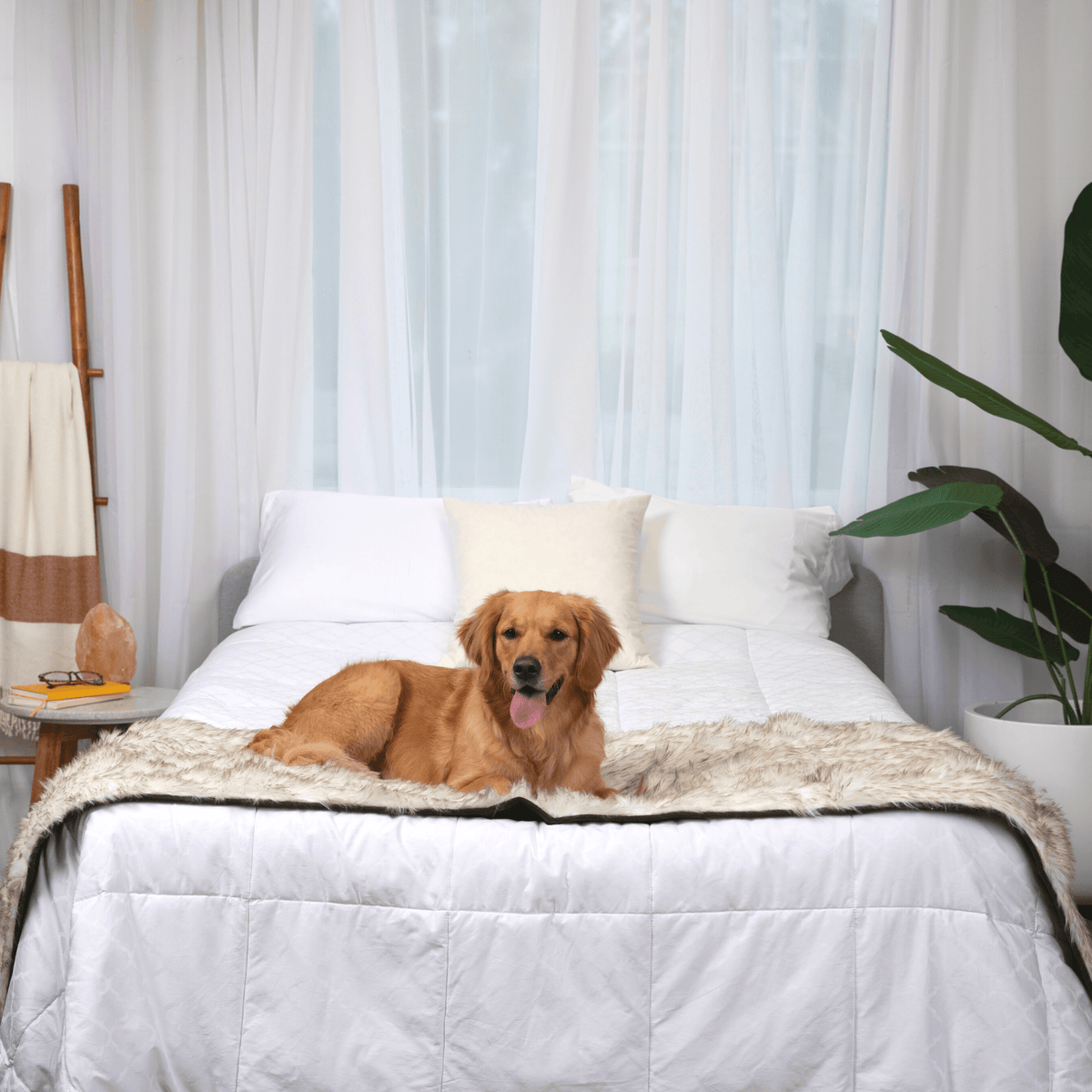 White bed runner with brown-trimmed shaggy top, laid across a dog bed