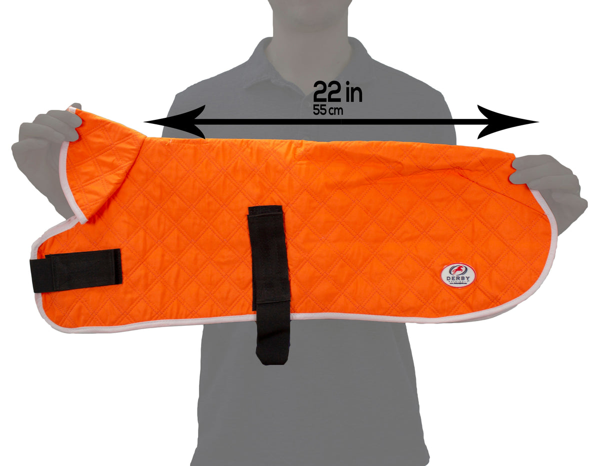 Orange dog cooling jacket with quilted fabric, black harness strap, reflective edge, logo patch
