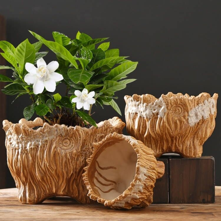 Ceramic flower pot set with tree-root carved texture, open side pot, and scalloped rims