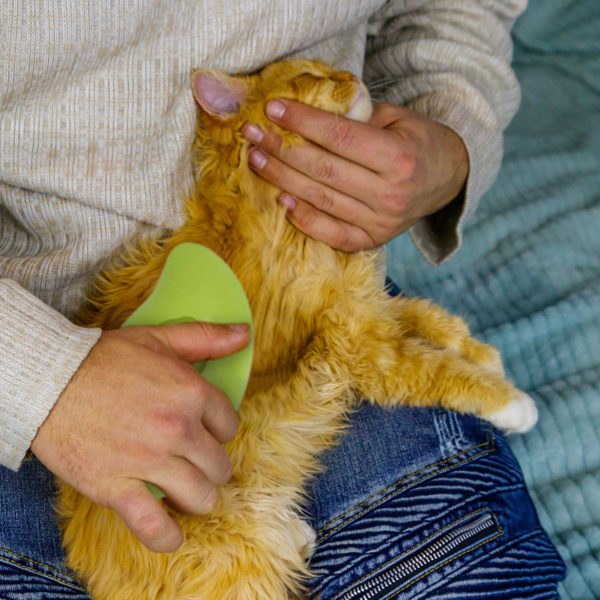 Green steam grooming brush with massage comb, held while brushing a yellow cat coat