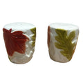 Ceramic salt and pepper shaker set, white with red and green leaf accents