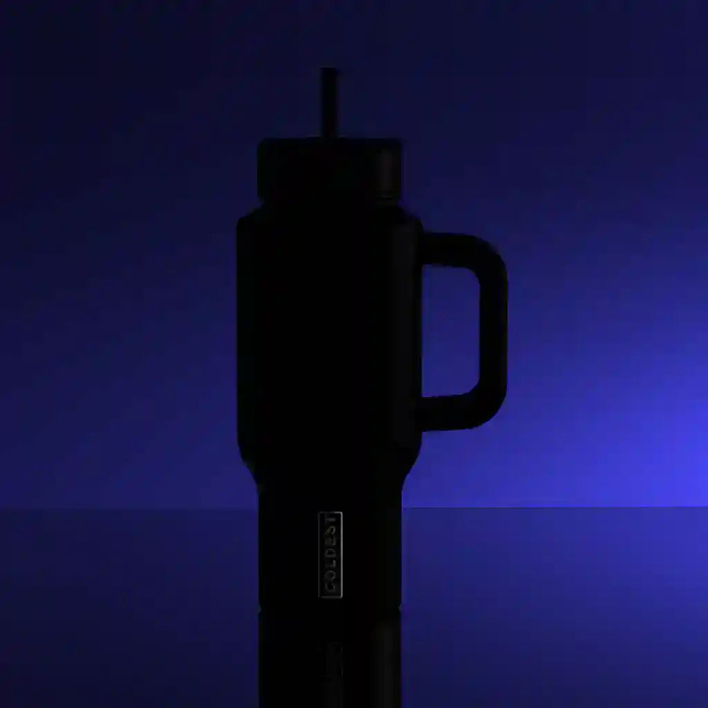 Black 24oz insulated water bottle with handle and straw lid