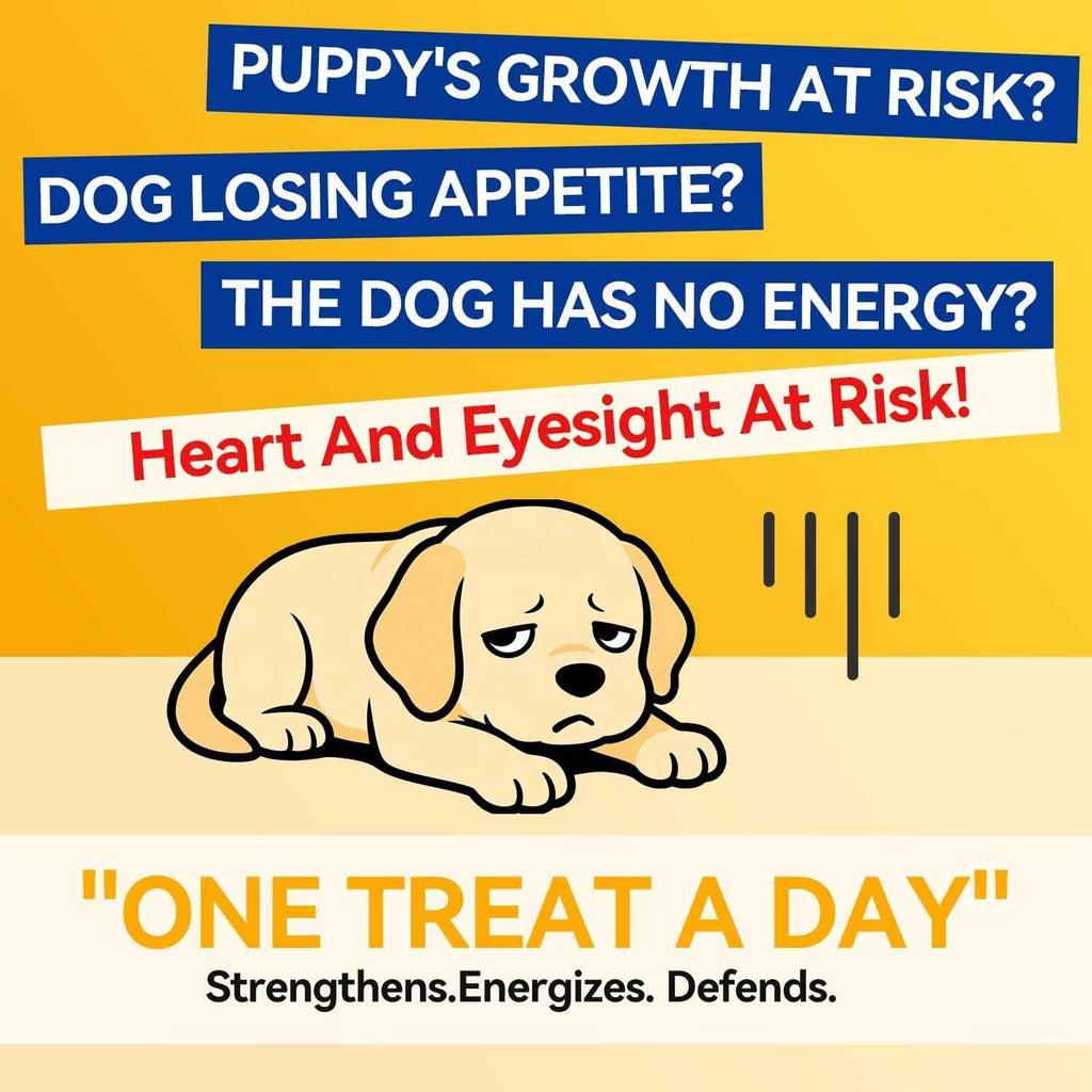 Illustration of a tired puppy beside daily taurine supplement messaging