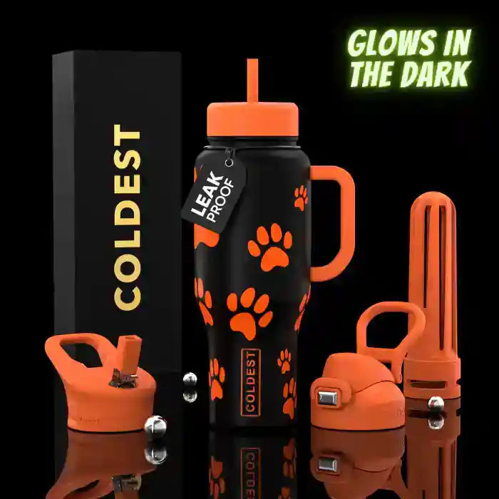36oz insulated water bottle with handle and straw, black with orange paw print graphics