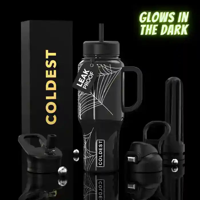36oz insulated water bottle with handle and straw, black with white web-line design