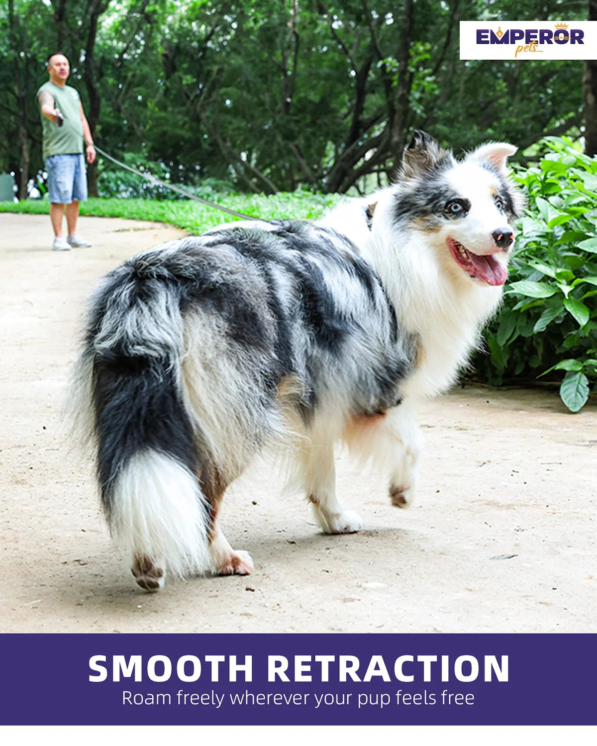 Gray retractable dog leash extended as a dog walks ahead