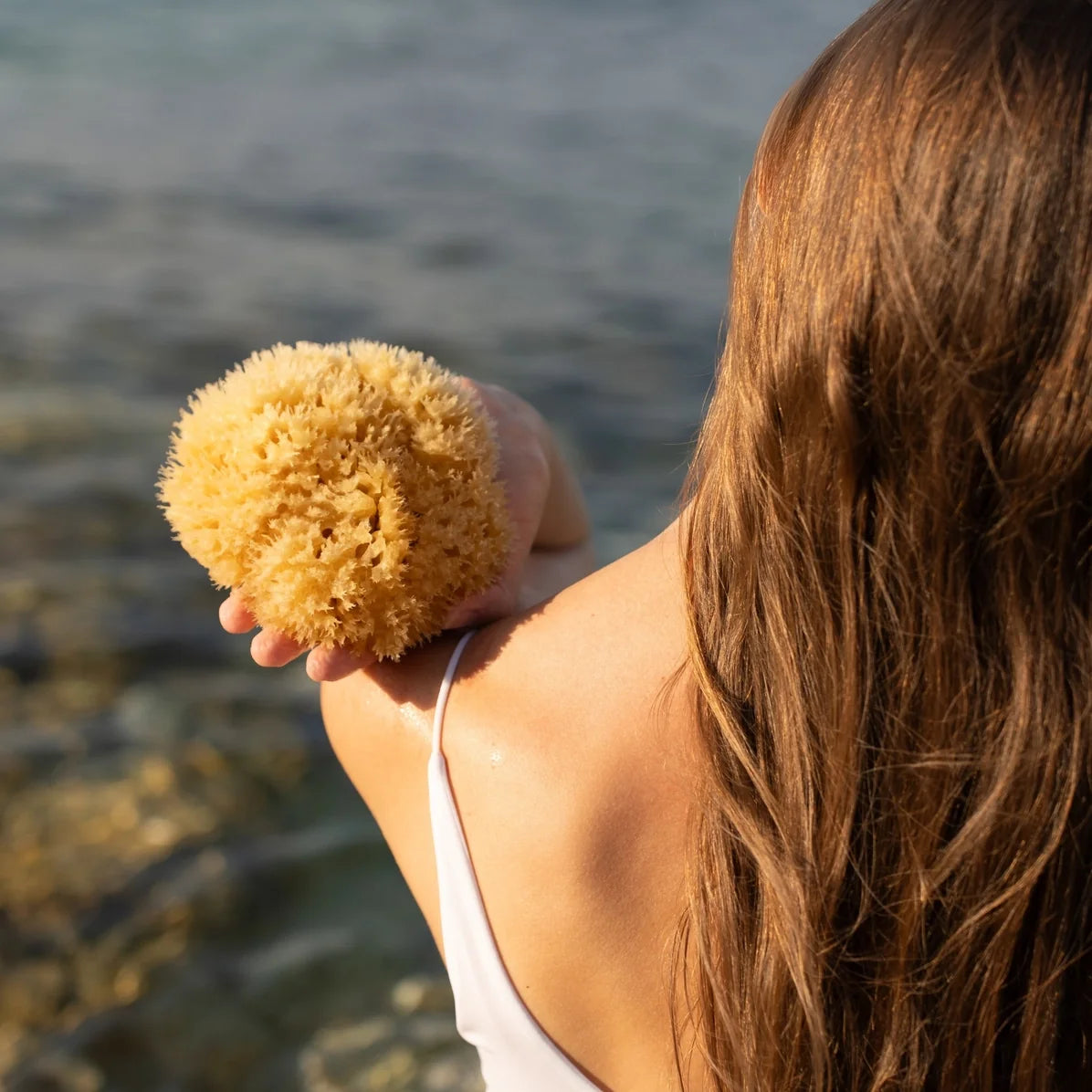 All-natural sea sponge held in hand, round yellow natural texture.