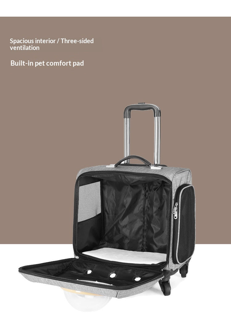 Light gray pet travel carrier with open side entry and padded interior base