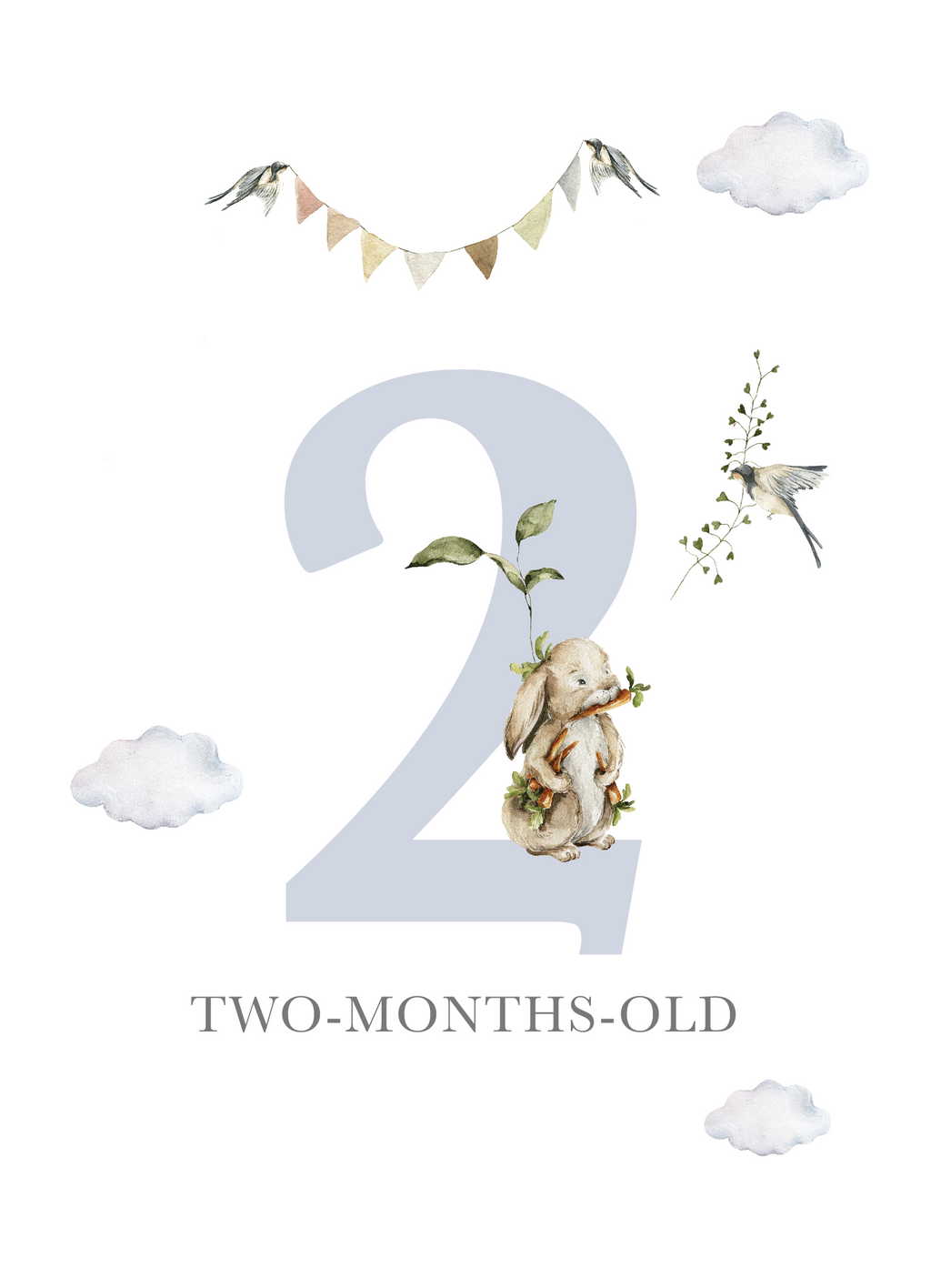 Two-months-old milestone card with koala, number “2,” and age text