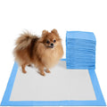Blue puppy pee pads with stacked absorbent sheets and border
