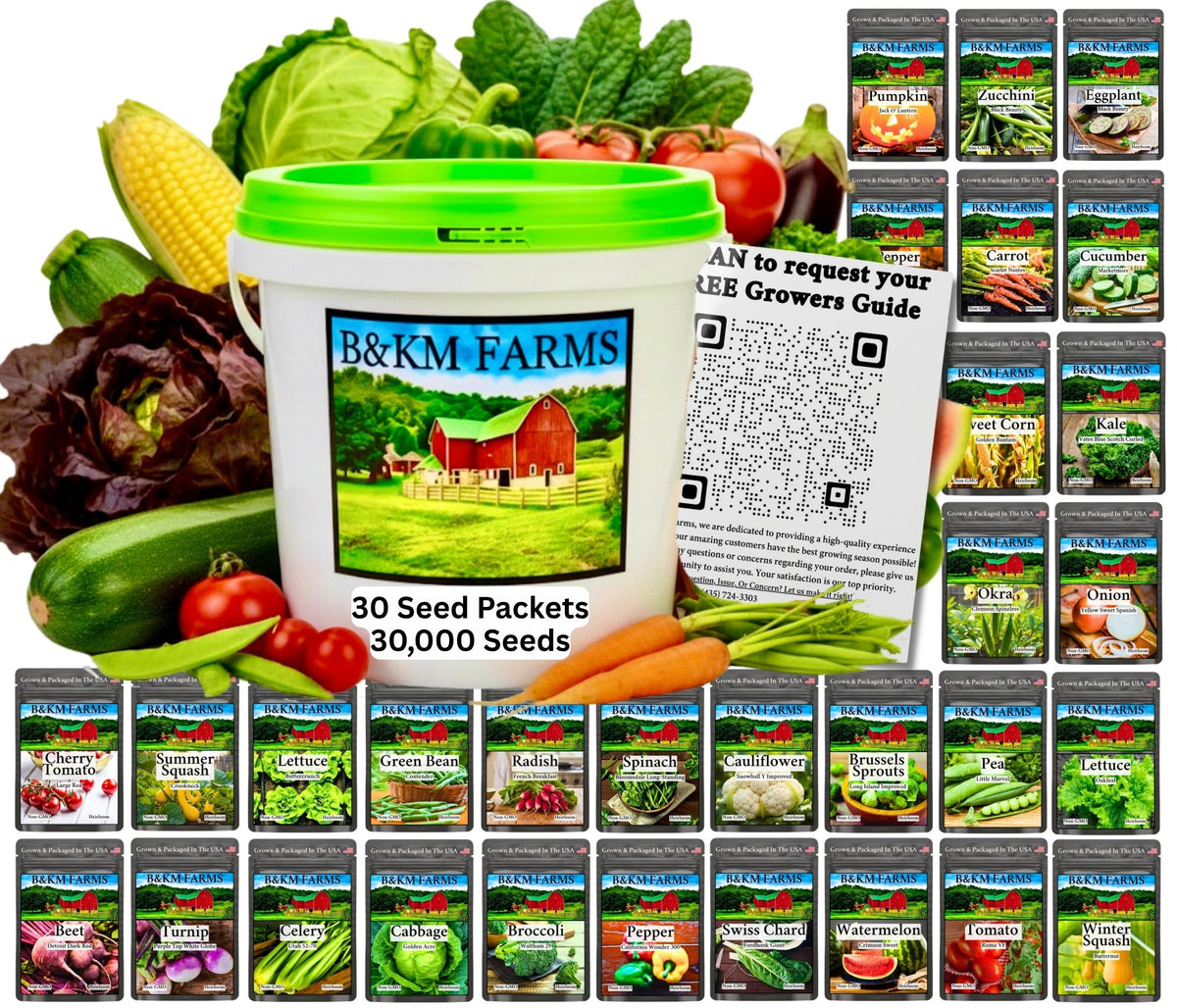 Seed packet vault container with green lid, B&KM Farms label, 30 seed packets
