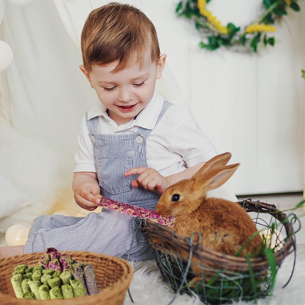 Child feeding hay chew sticks to a brown rabbit; small animal treat sticks nearby