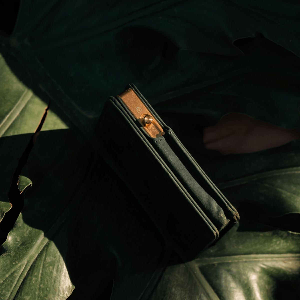 Dark green bifold wallet open, showing card slots and gold hardware.