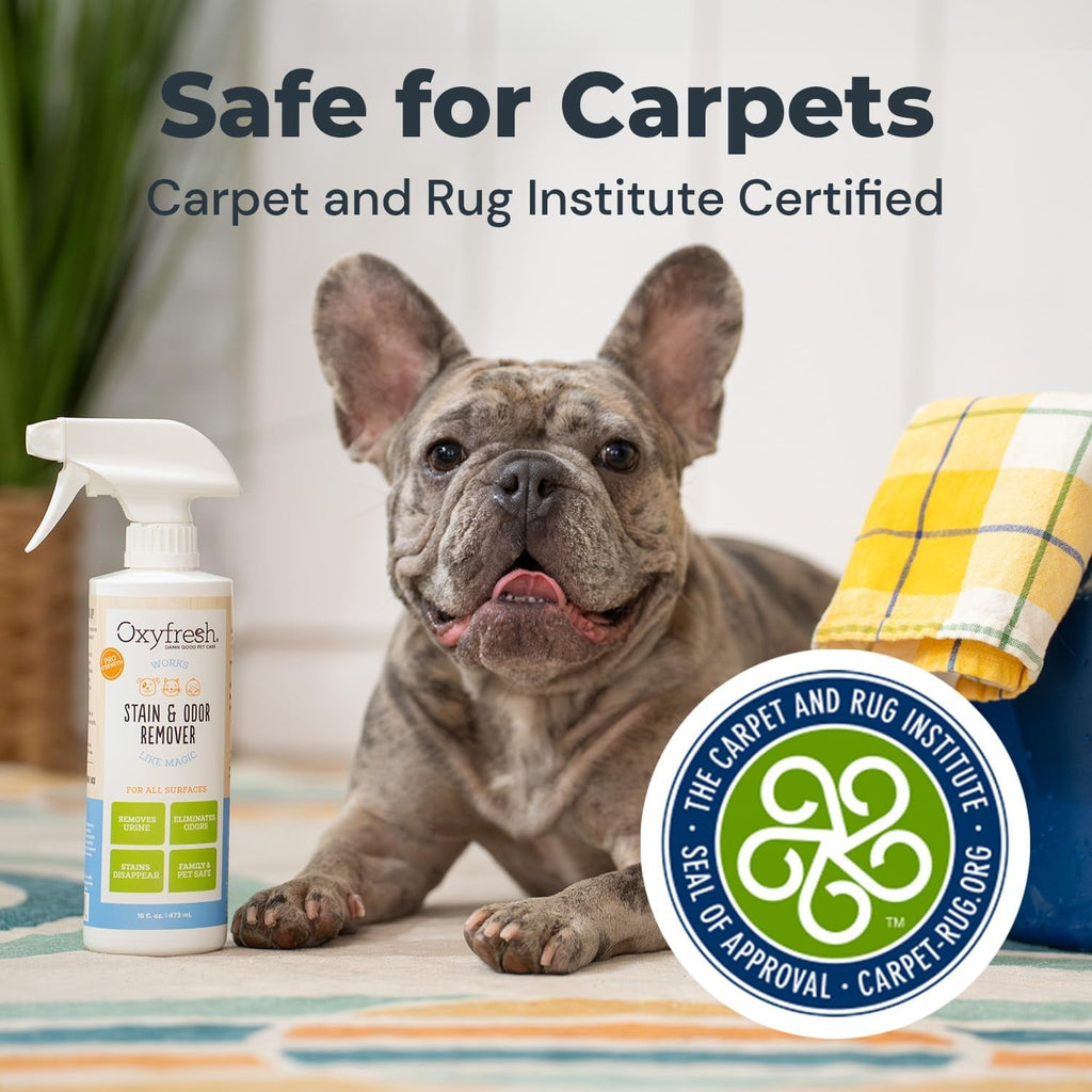 Oxyfresh stain and odor remover spray beside a French bulldog, with carpet certification seal
