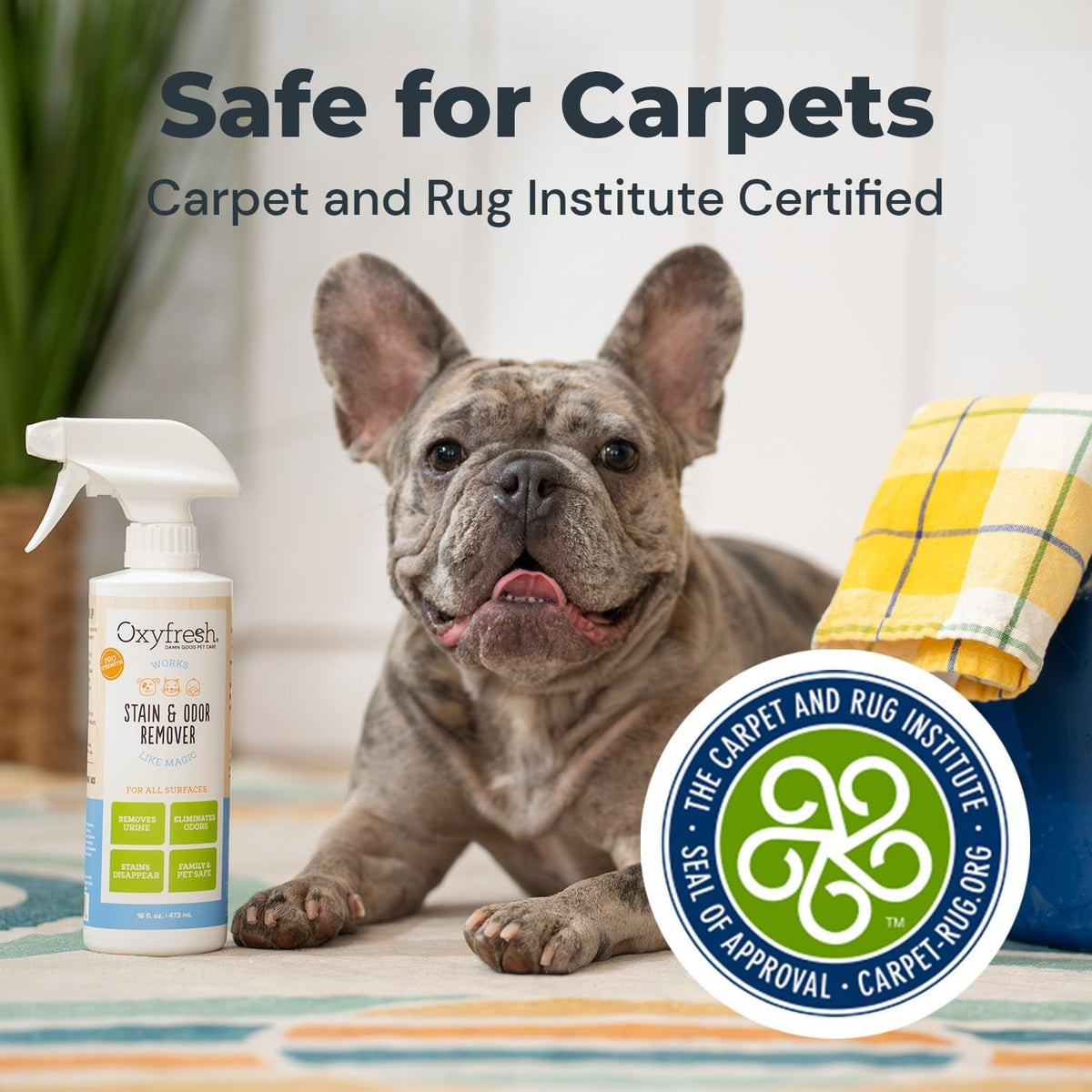 Oxyfresh stain and odor remover spray beside a French bulldog, with carpet certification seal