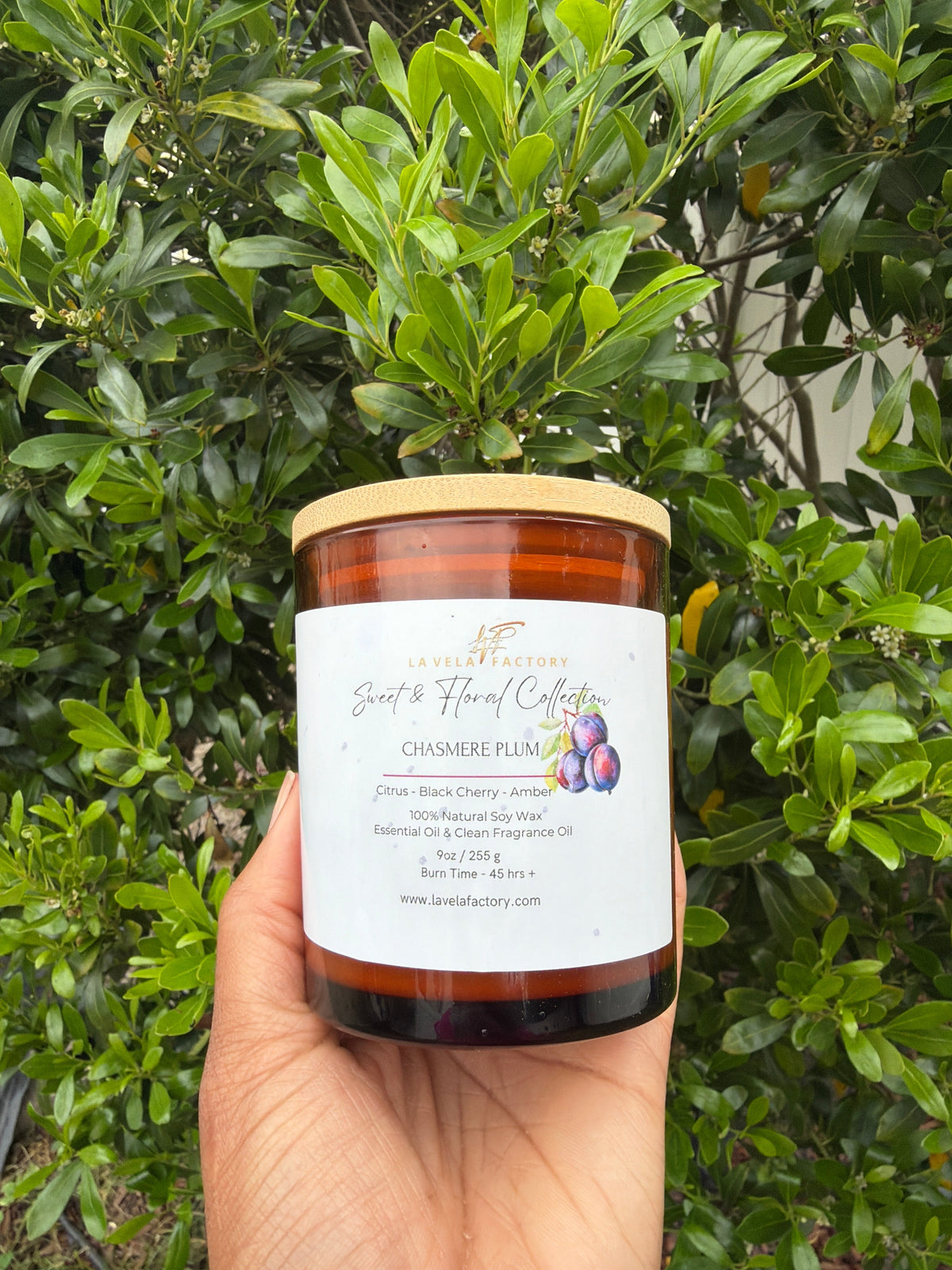 Amber glass jar candle with gold lid, label for “Cashmere Plum”