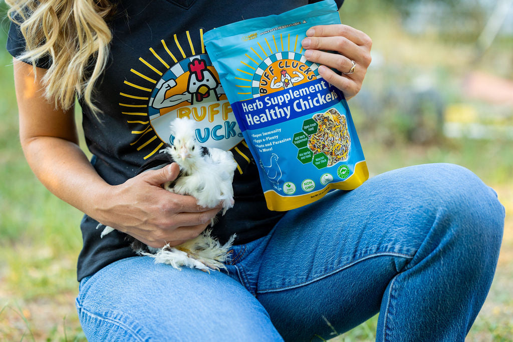 Blue herb supplement pouch held beside a white backyard chicken