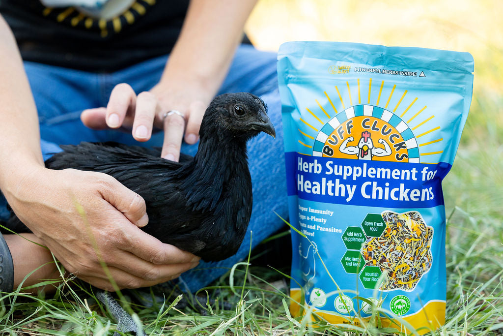 Blue herb supplement pouch next to a dark chicken with a hand holding it
