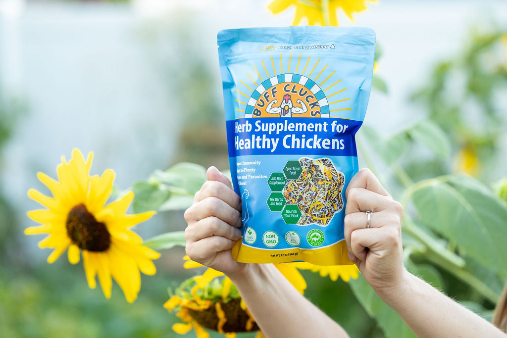 Herb supplement pouch for healthy chickens held by hands, blue and yellow front