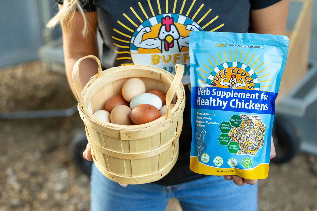 Herb supplement pouch for healthy chickens held next to a basket of brown eggs