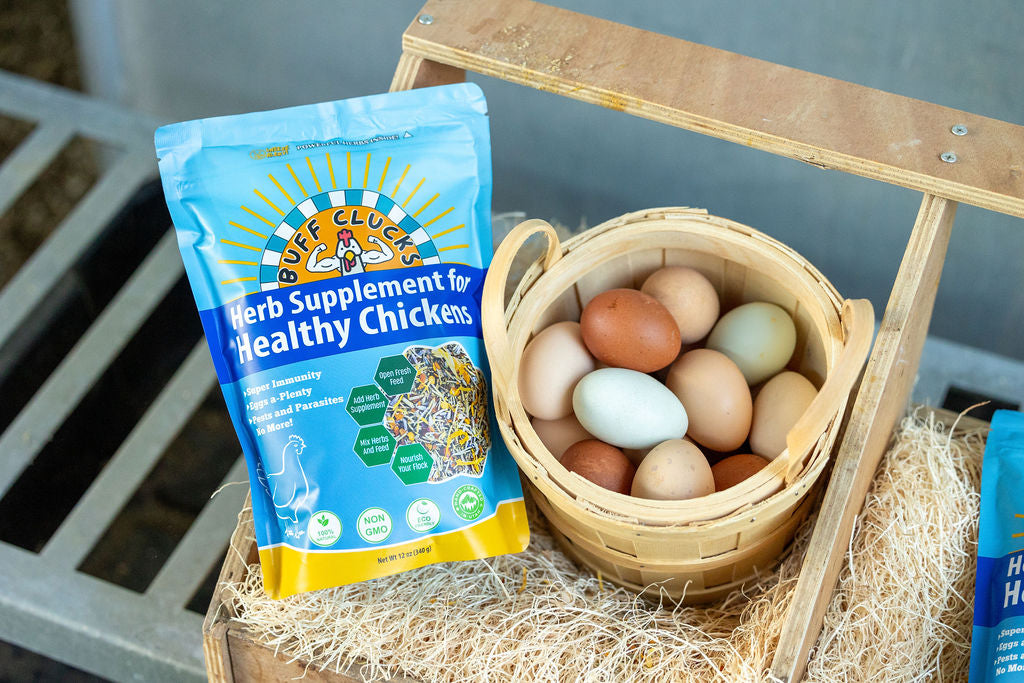 Blue herb supplement pouch beside a wooden basket of mixed chicken eggs