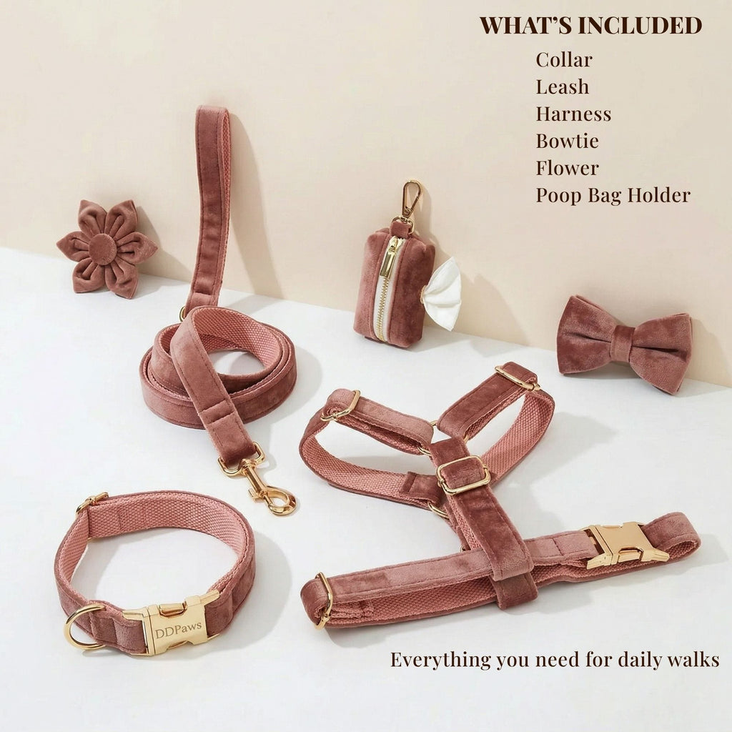 Dusty pink velvet dog walking set with collar, leash, harness, bowtie, flower and pouch