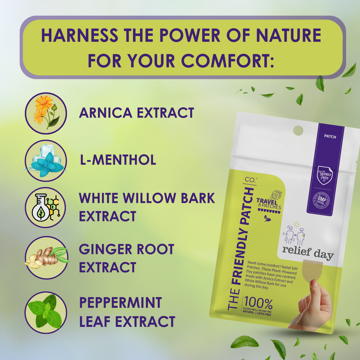 Herbal ingredient highlights and travel patch pouch for arnica and willow bark