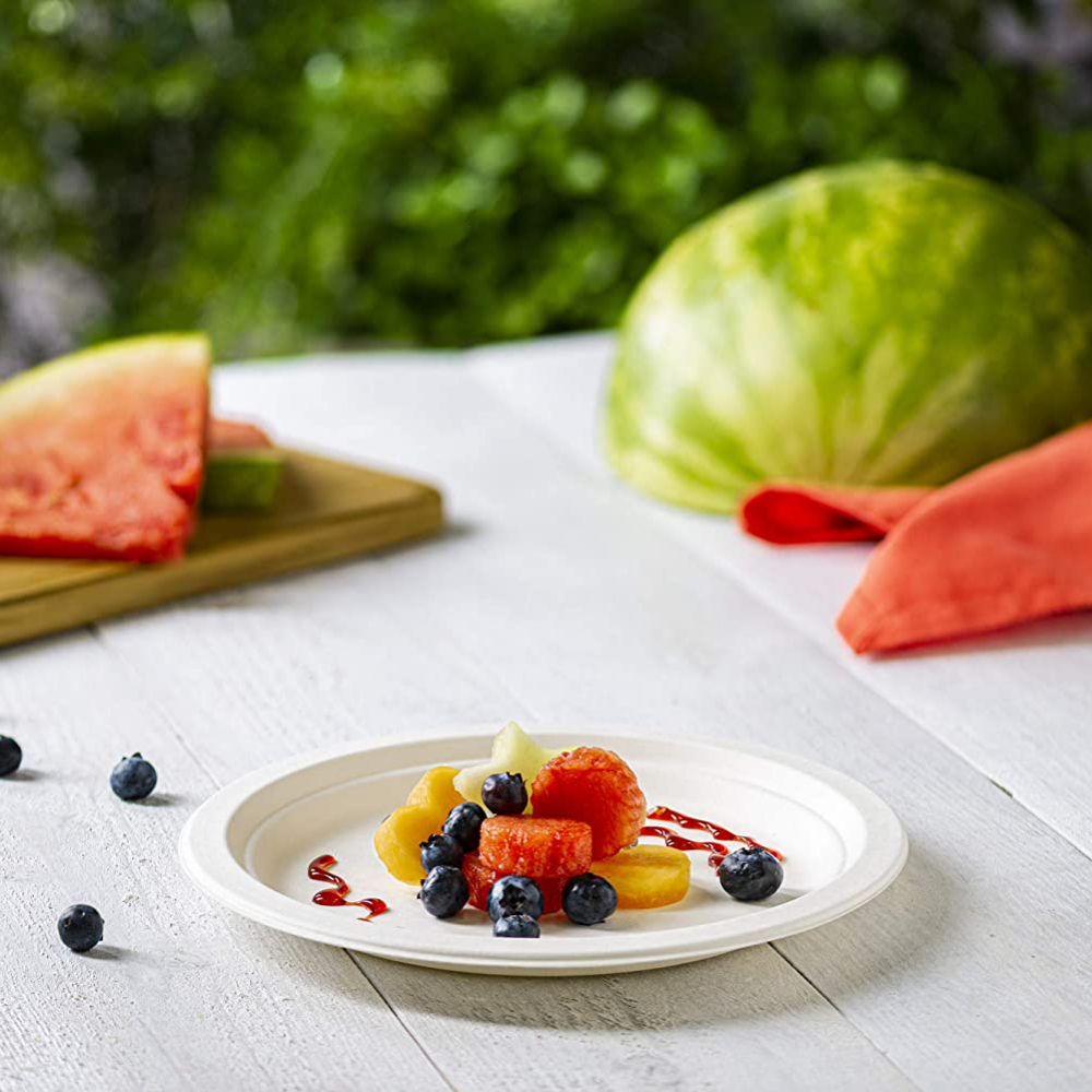 9-inch white disposable sugarcane paper plate with fruit and berries