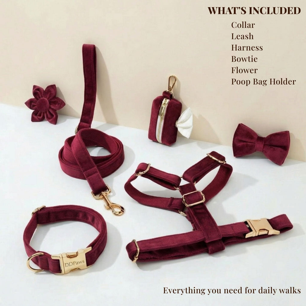 Burgundy velvet dog accessory set with collar, leash, harness, bowtie, flower, and poop bag holder