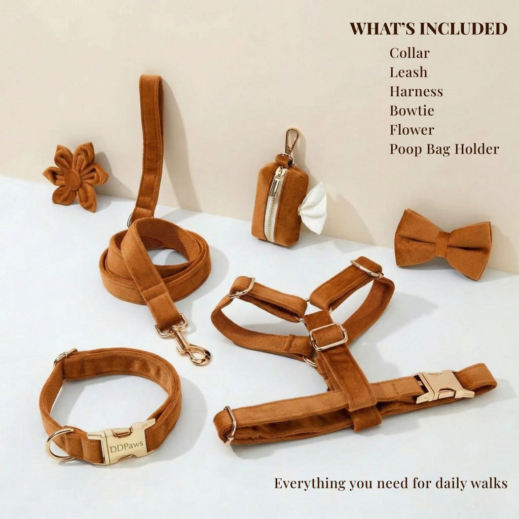 Orange velvet dog set with collar, leash, harness, bowtie, flower and poop bag holder