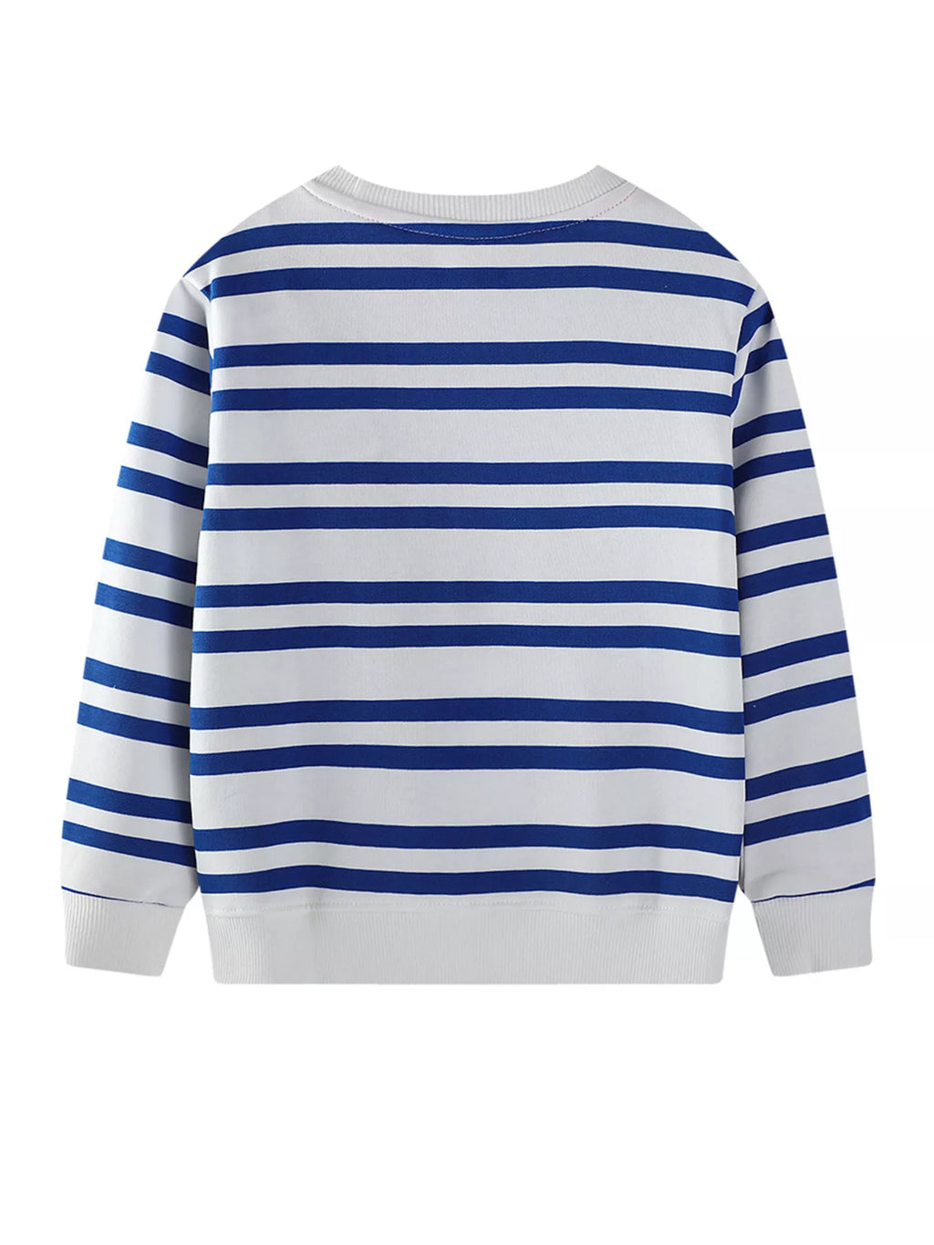 Kids striped crewneck sweatshirt with long sleeves, no front graphic