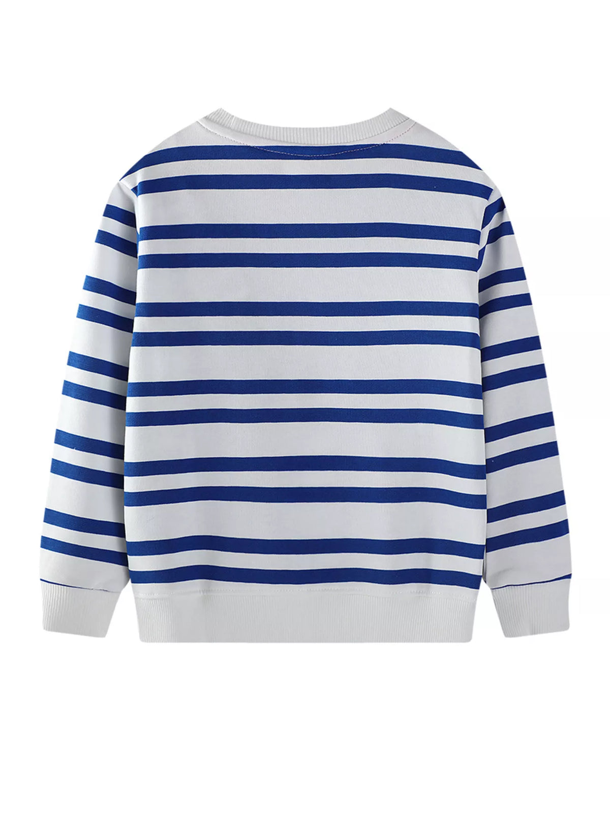 Kids striped crewneck sweatshirt with long sleeves, no front graphic