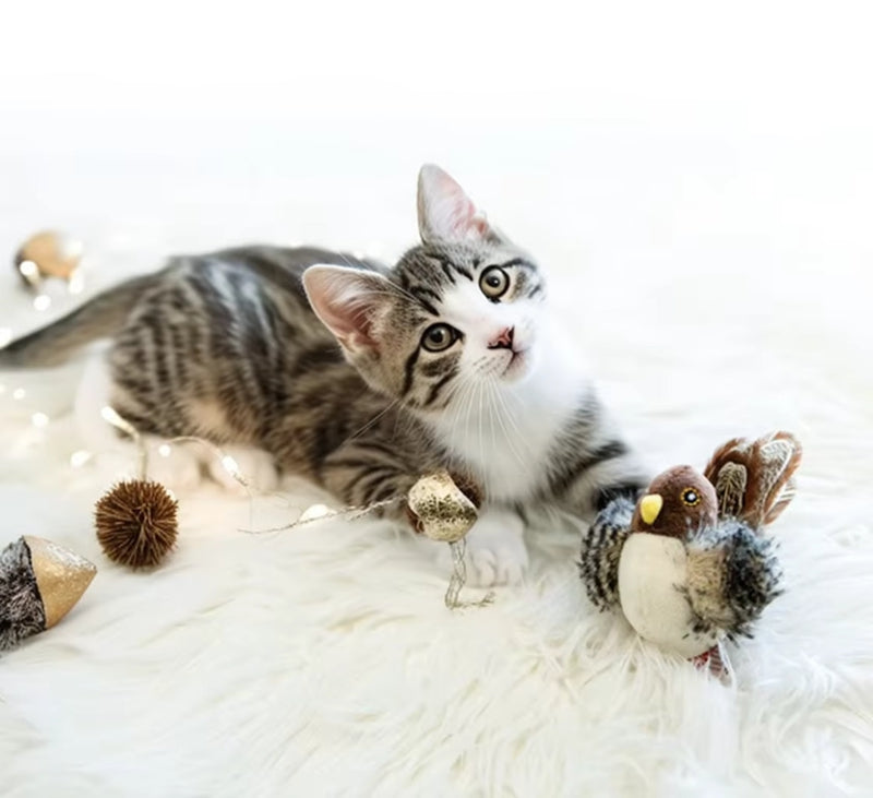 Cat with plush bird toy featuring brown head, yellow beak, and fluffy feathered wings