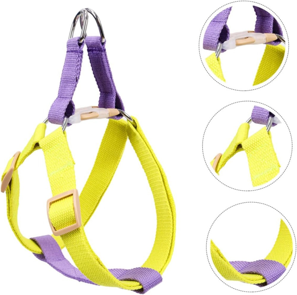 Nylon dog harness with purple trim, yellow straps, and adjustable chest buckle