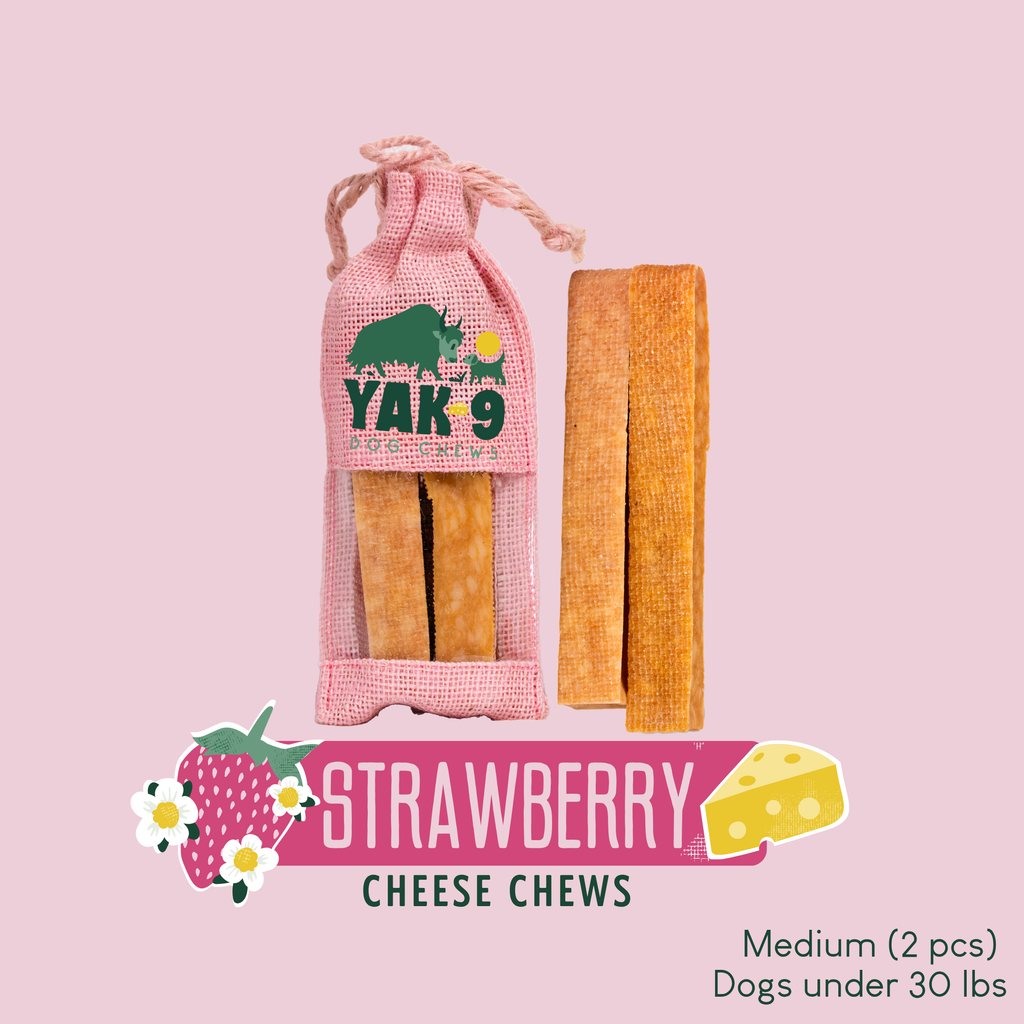 Strawberry cheese chew sticks for dogs in pink mesh pouch, with two orange sticks