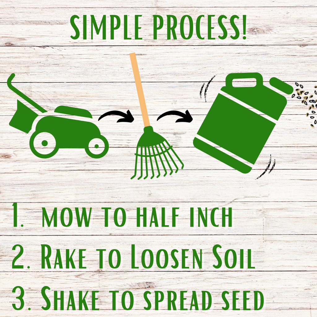 Bee lawn seed kit simple process steps graphic with lawn tools icons