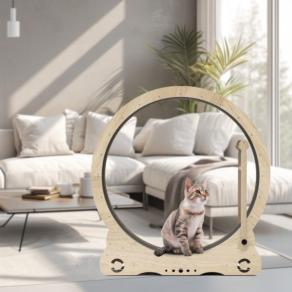 Indoor cat treadmill with carpet, tear device and latch natural wood, 39.4 inches long x 13.2 inches wide x 41.3 inches high