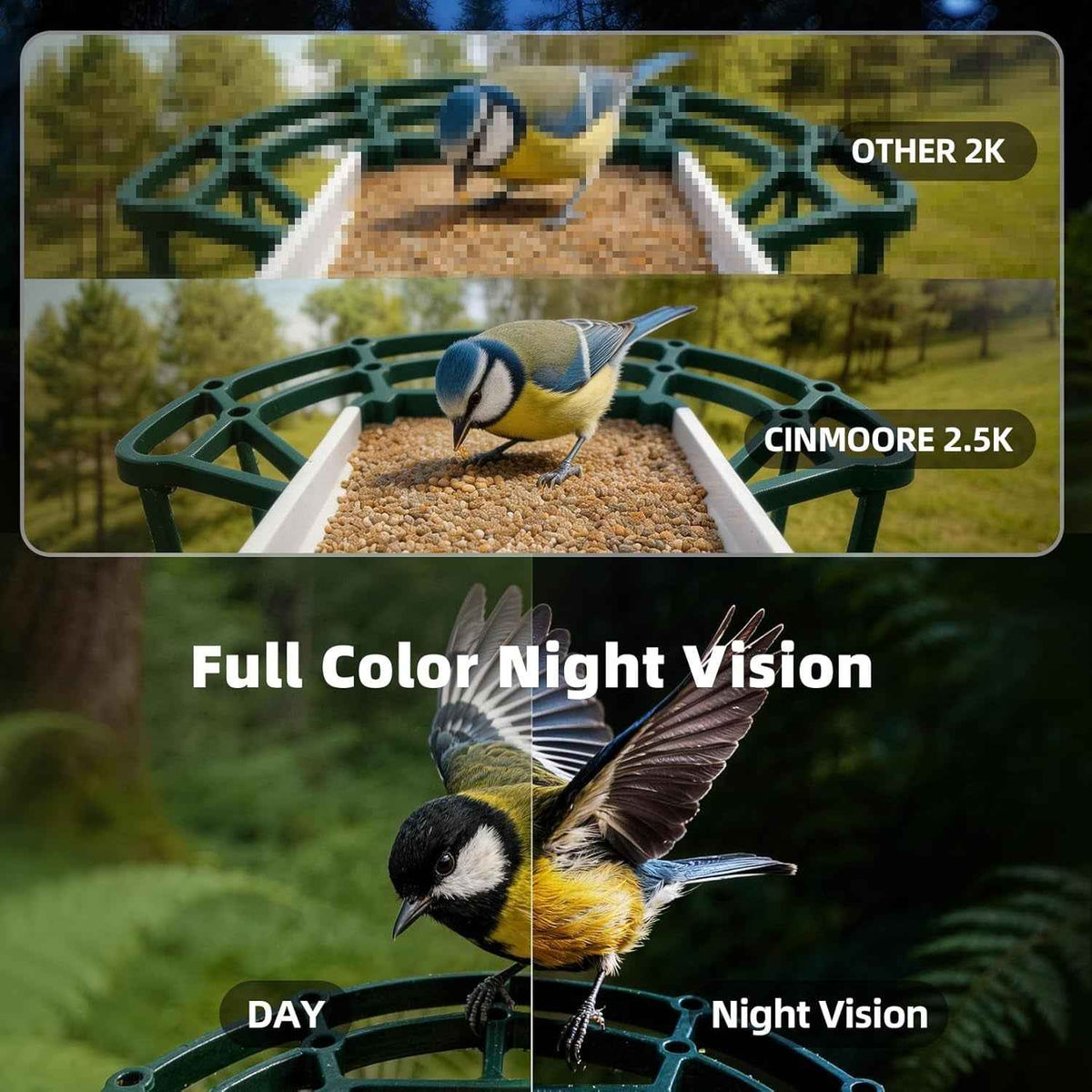 Bird feeder camera comparison showing 2.5K color night vision