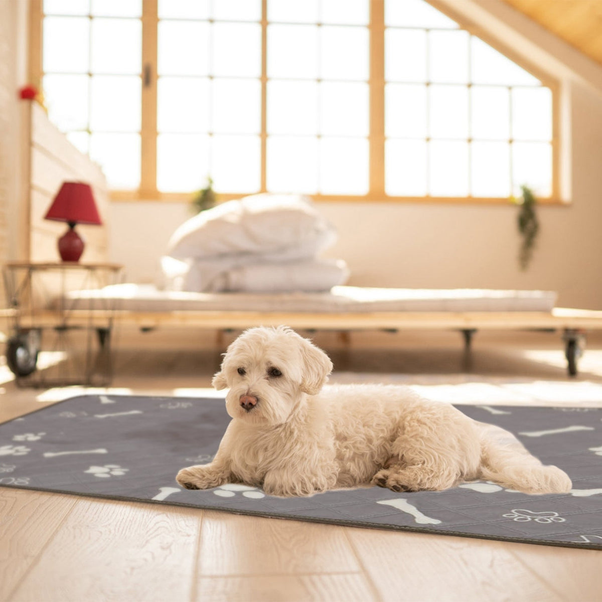 Grey pet training pad with white paw prints and bones, laid on the floor