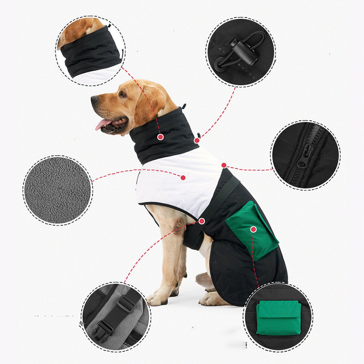 Dog wearing black padded winter coat with green panel and front zipper