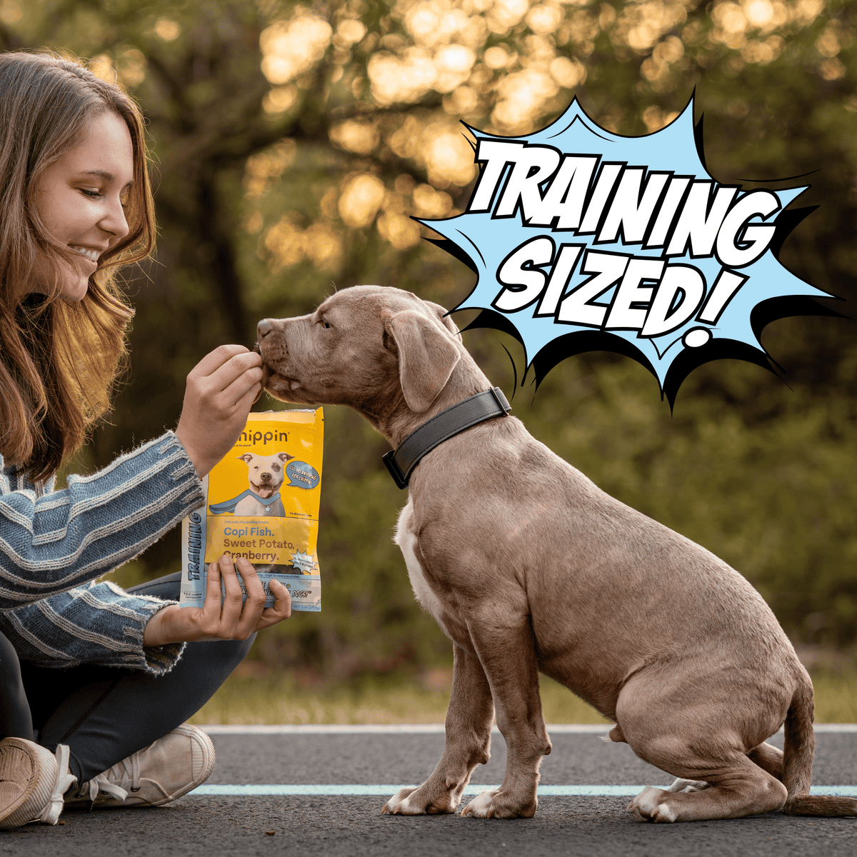 Dog training outdoors with a yellow dog treat pouch, held near the dog’s nose.