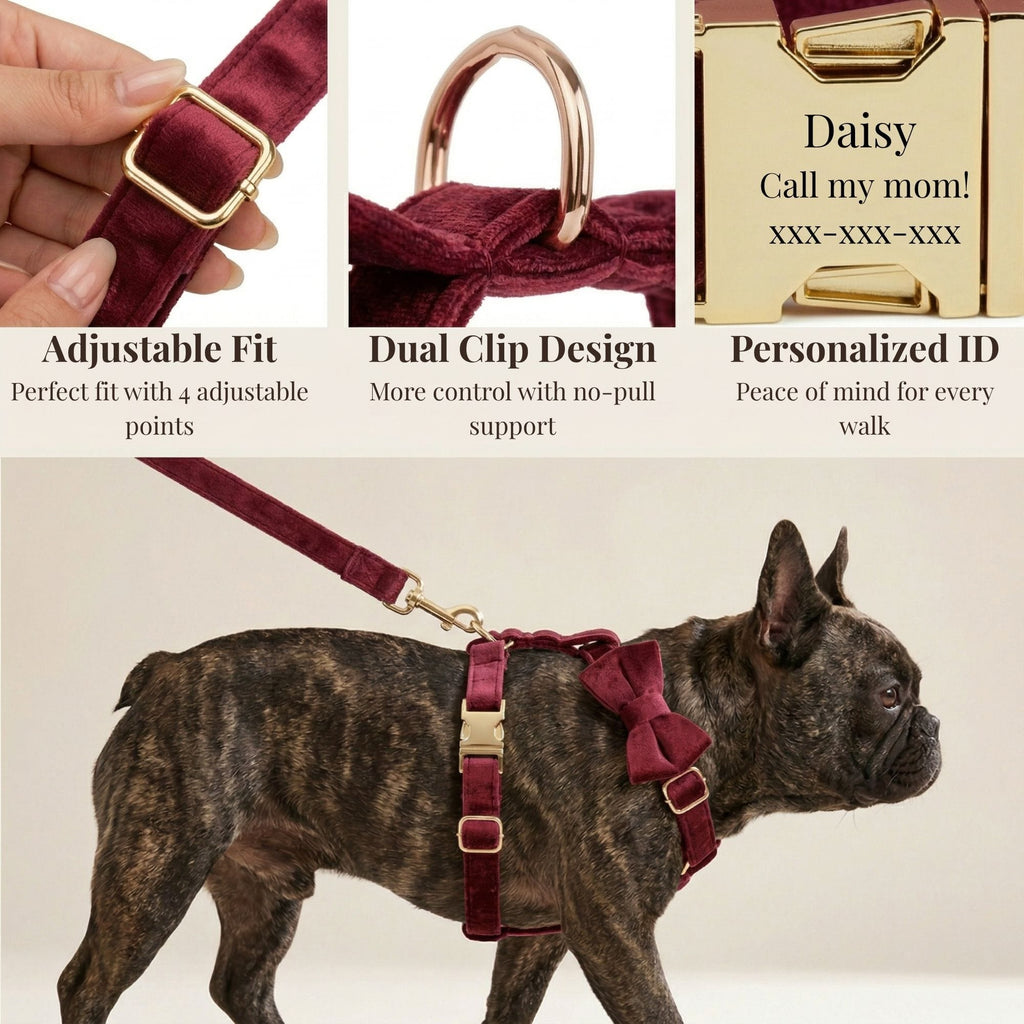 Burgundy velvet dog harness and collar with bowtie on a medium dog
